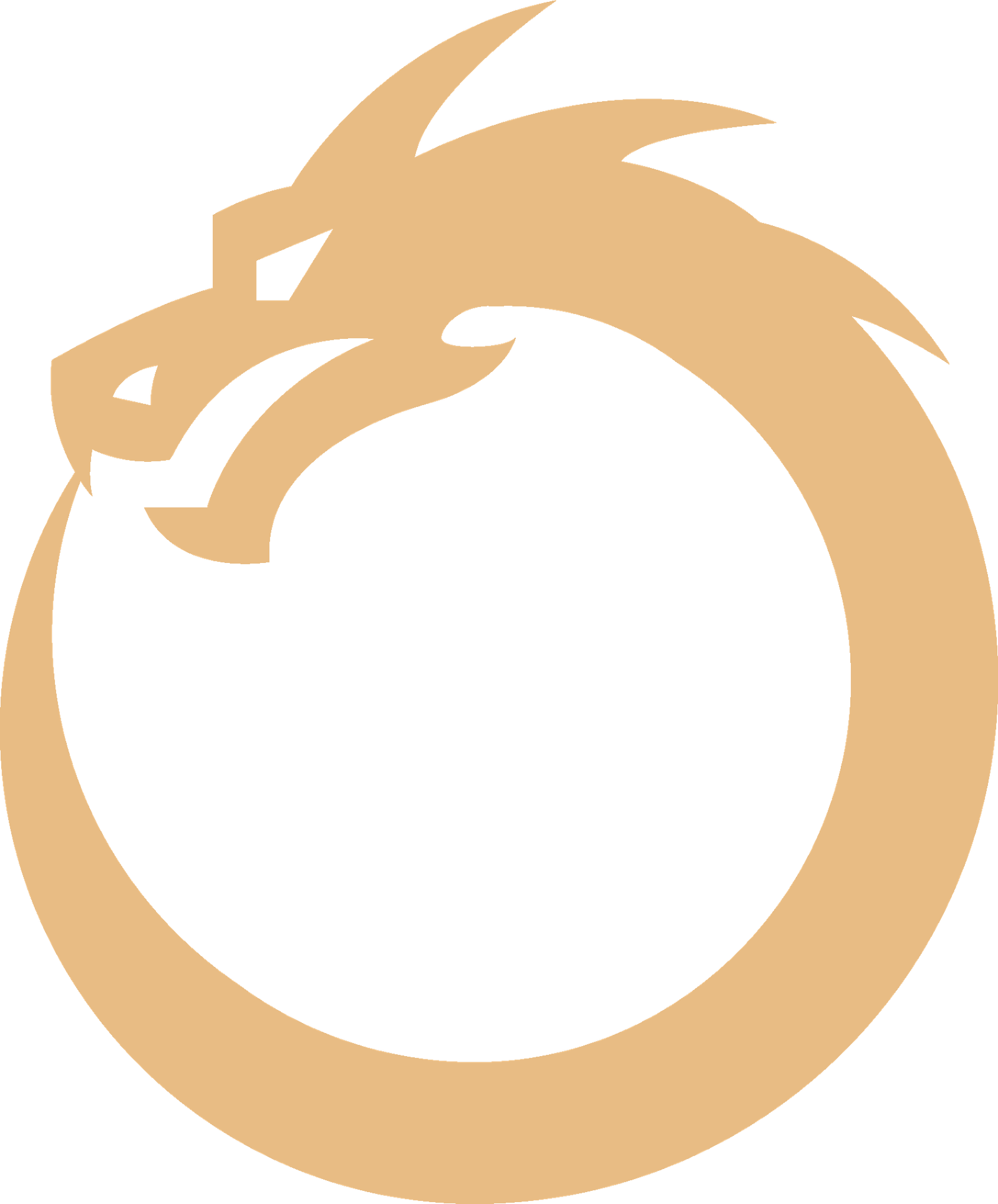 The HOA Collective dragon seal